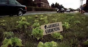 La résistance végétale de Guérilla Gardening