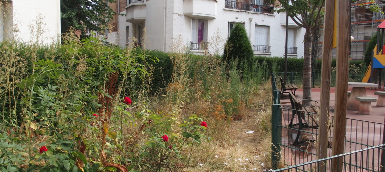 La métamorphose des villes sans pesticides