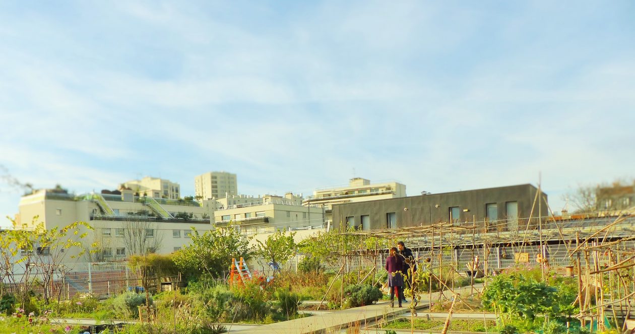 Après le Jardin solidaire, place au Jardin sur le Toit !