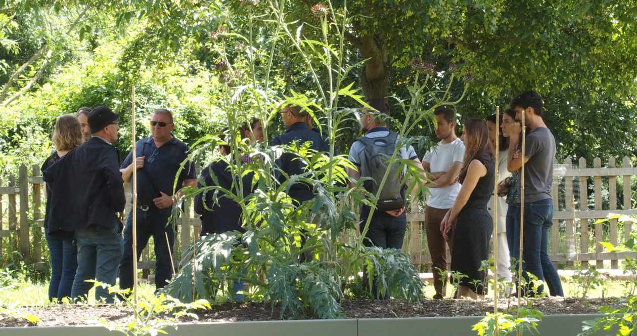 Comment créer mon jardin partagé ? (3/3) : La vie au jardin