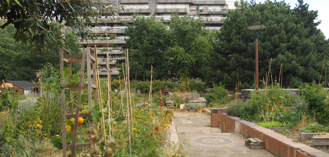 Comment créer mon jardin partagé ? (1/3) : Le lieu