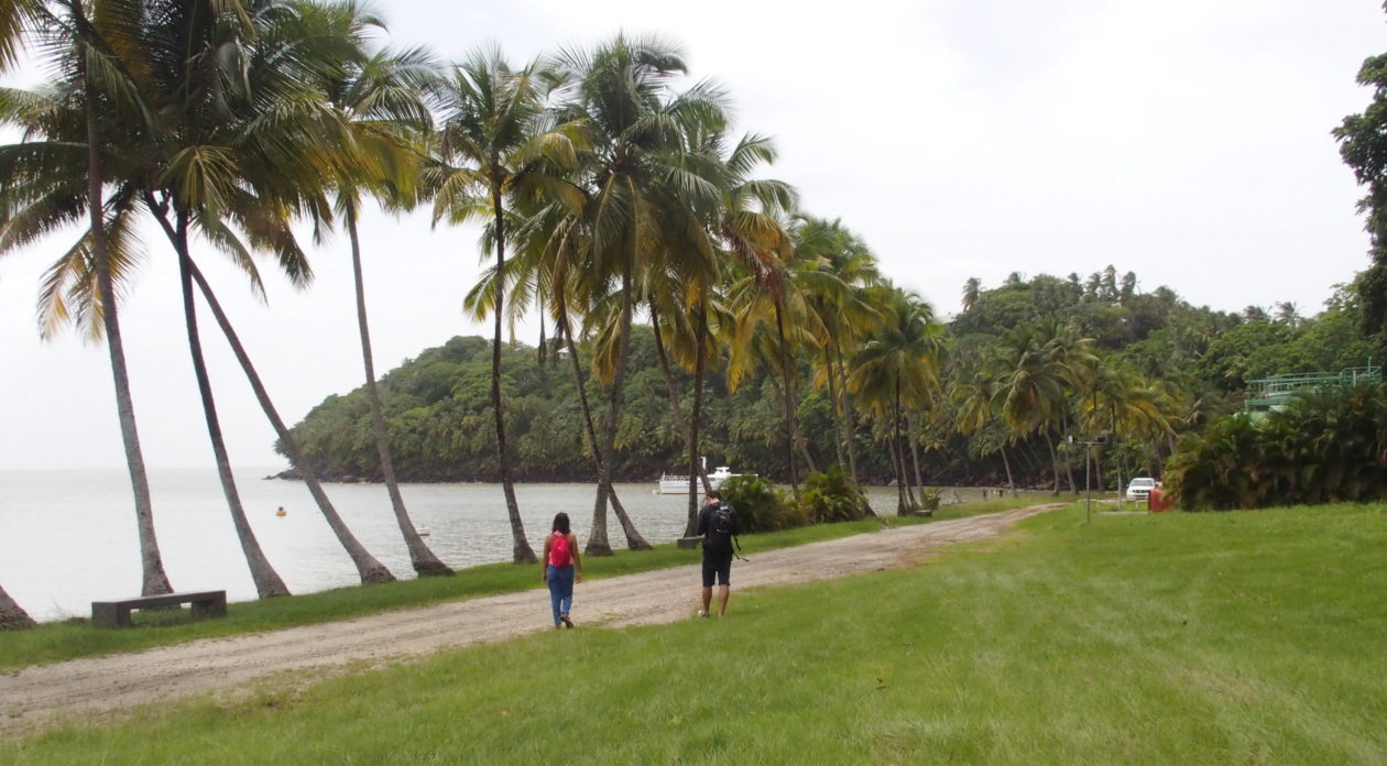 Association Aprosep : un potager urbain en Guyane