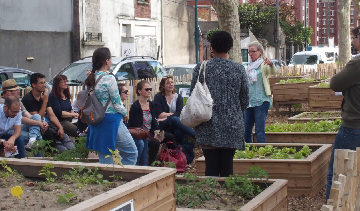 Mixité sociale dans les jardins partagés : conseils et points de vigilance